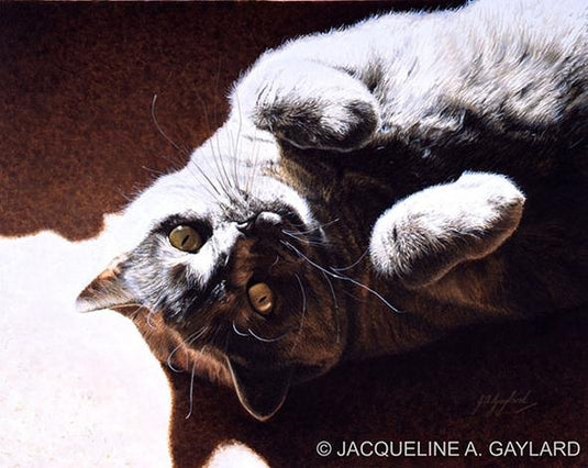 Jacqueline A. Gaylard S.O.F.A.