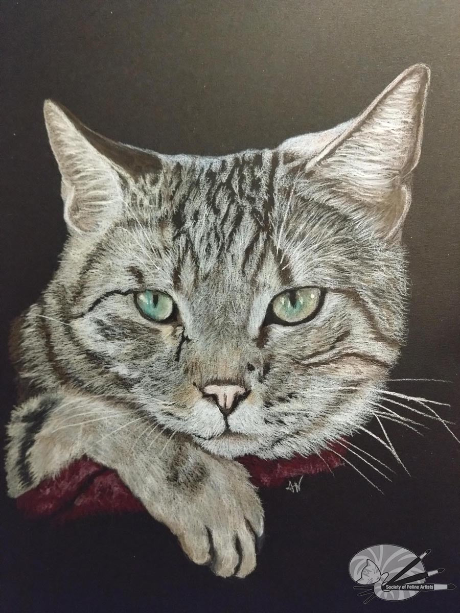 Tabby Cat Resting