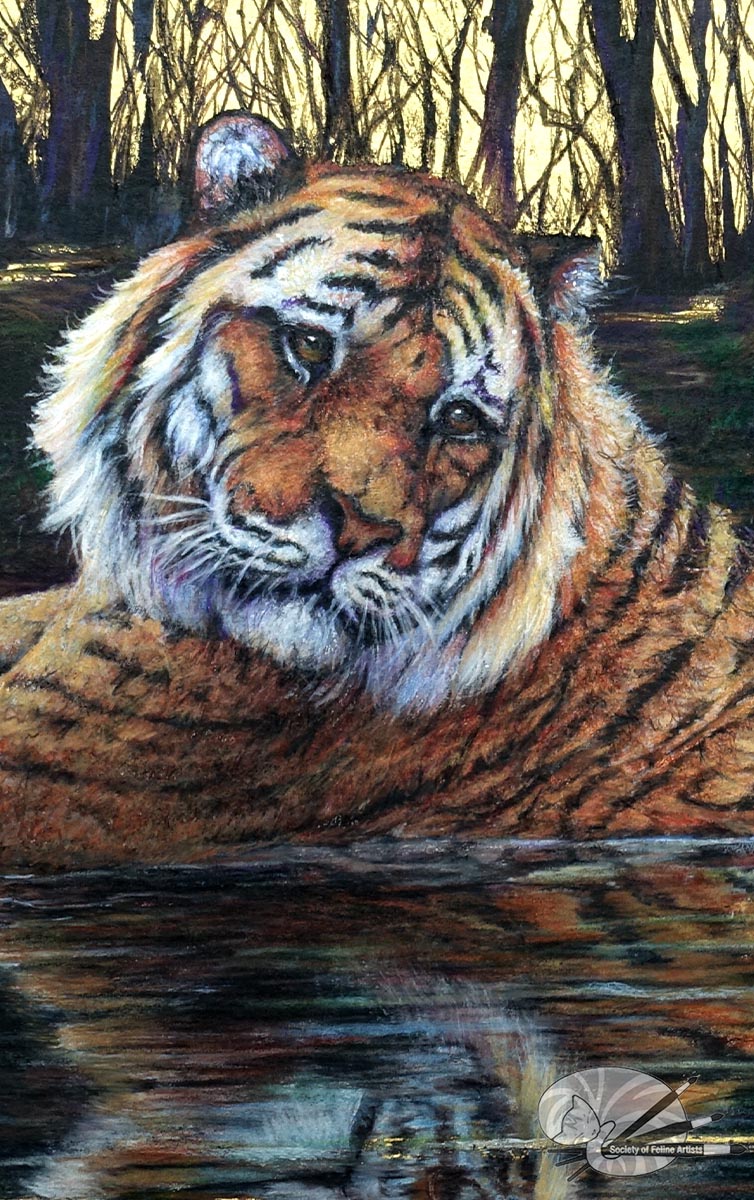 On Reflection