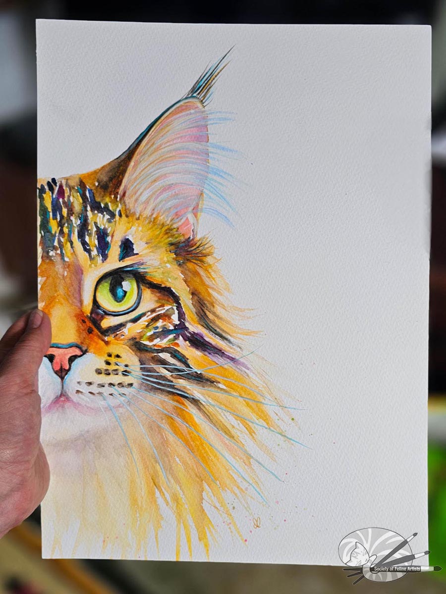 Golden Tabby