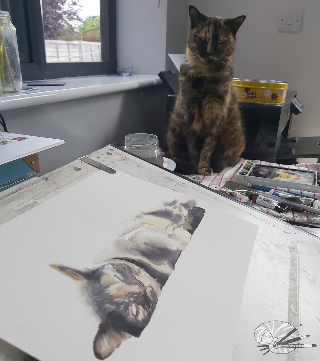 Tortoiseshell Cat