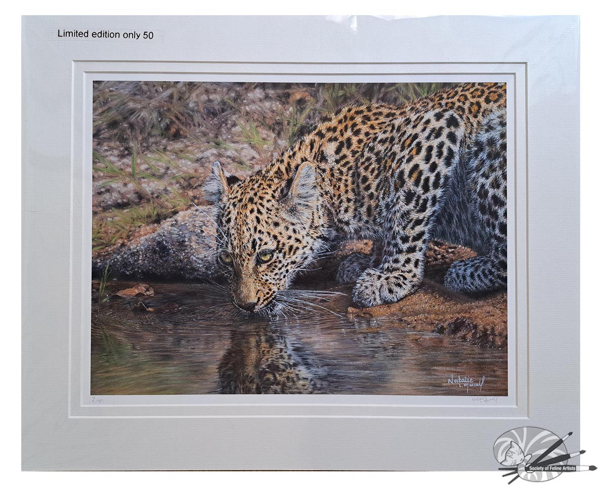 African Beauty - Limited Edition Print