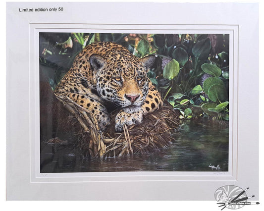 Yaguara - Jaguar - Limited Edition Print