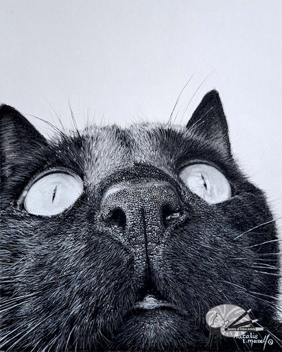Close Up