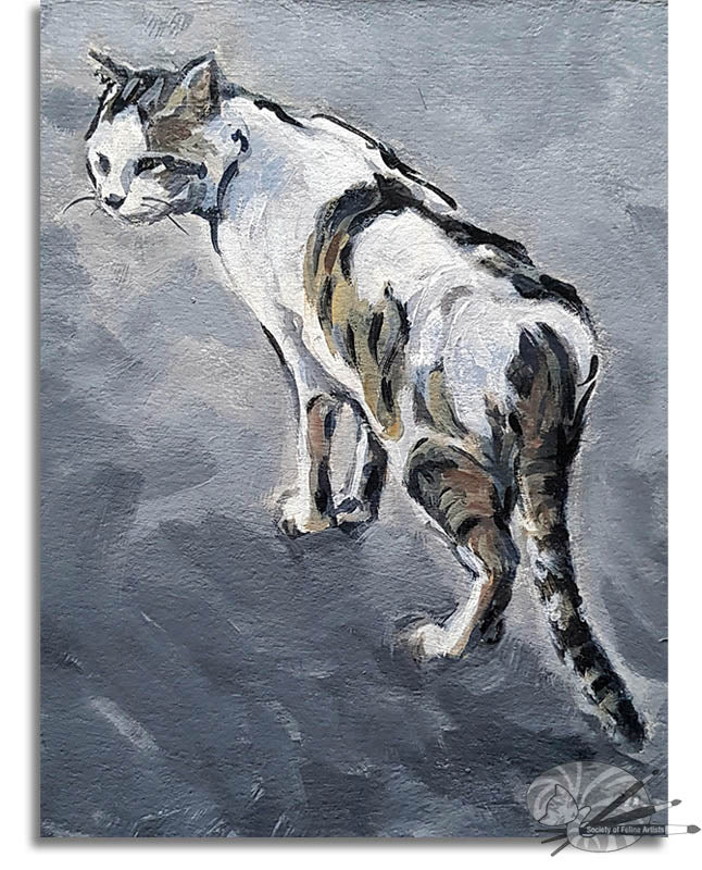 Interested Cat