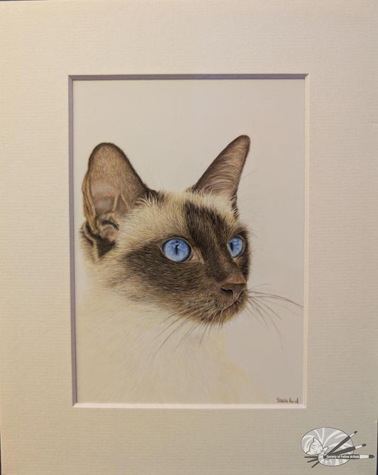 Beautiful blue eyes
