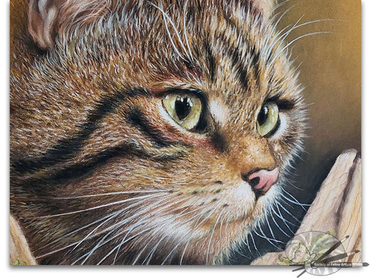Wild Cat On The Prowl