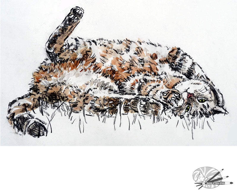 Playful Cat - Open Edition Print