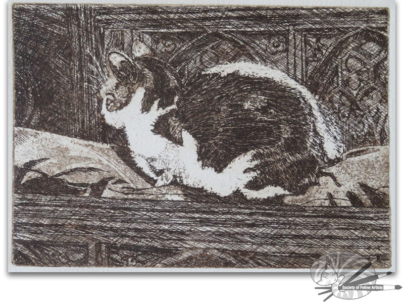 Cathedral Cat; Norwich