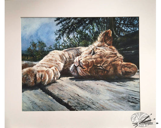 Young Lion Basking - Limited Edition Print