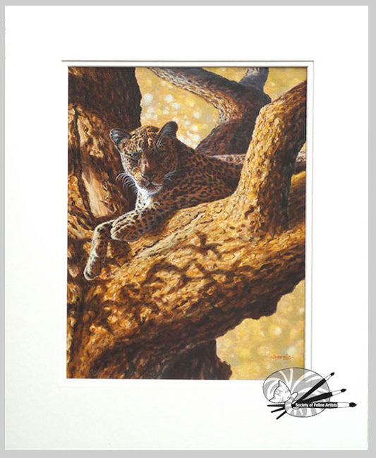 Sundown - Limited Edition Print