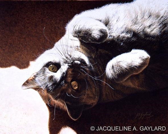 Jacqueline A. Gaylard S.O.F.A.
