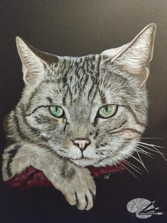 Tabby Cat Resting