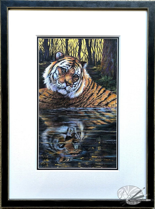 On Reflection
