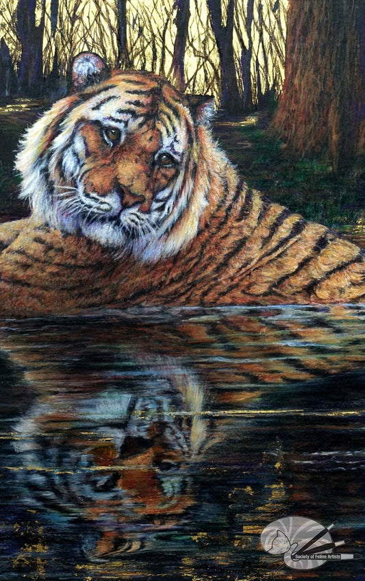 On Reflection