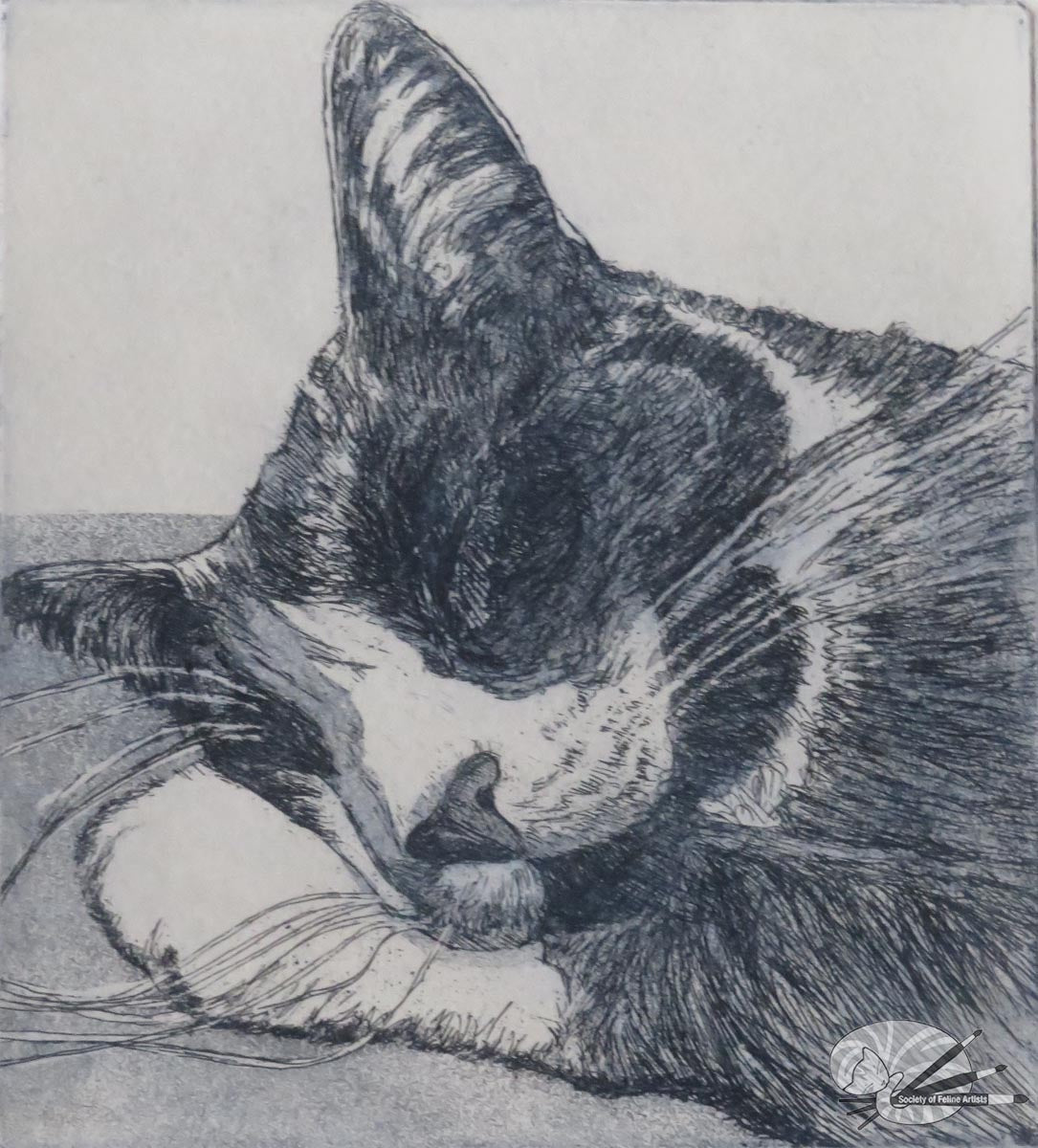 Sleepy head