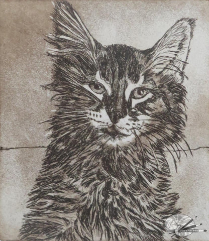 Tiny tabby