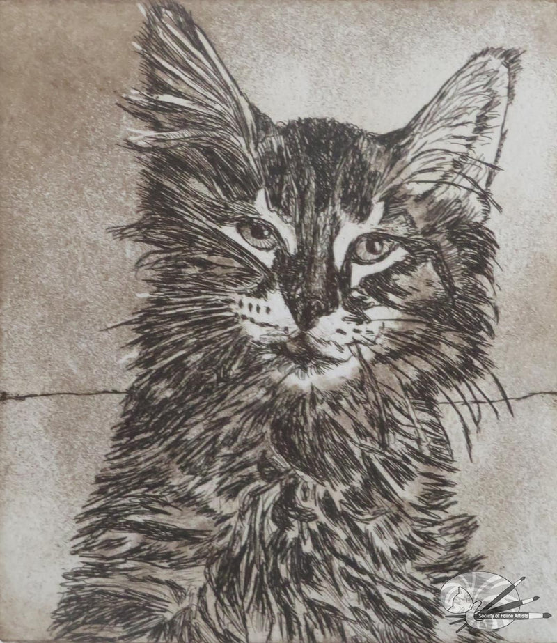 Tiny tabby