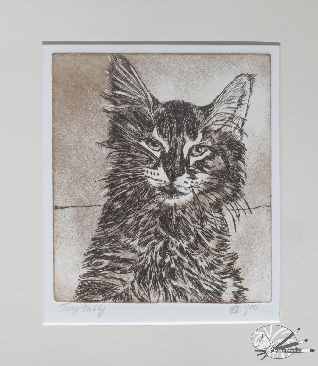 Tiny tabby