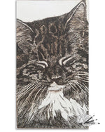 Load image into Gallery viewer, And So To Sleep
