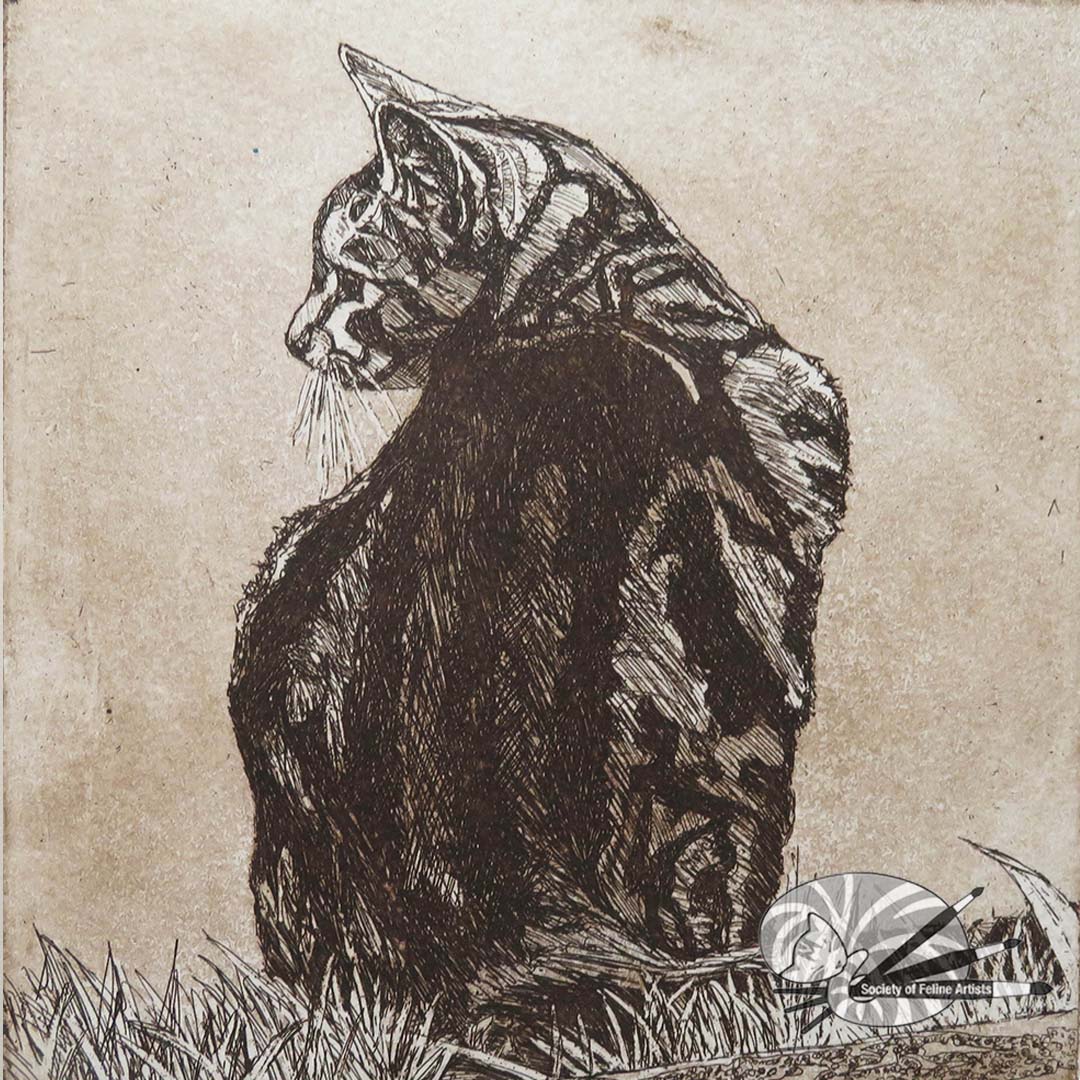 An etching of a cat sitting on grass with a textured background by Avril Sleeman