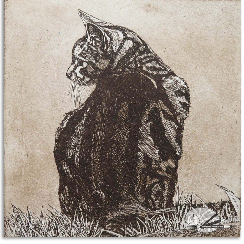 An etching of a cat sitting on grass with a textured background by Avril Sleeman
