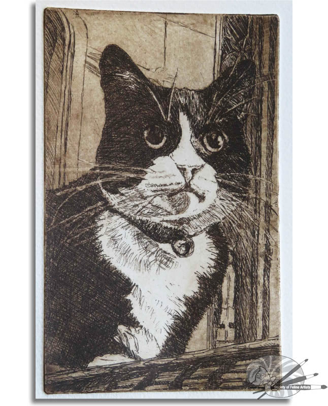 Cathedral Cat - Southwark
