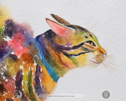 Big Zoomies Watercolour