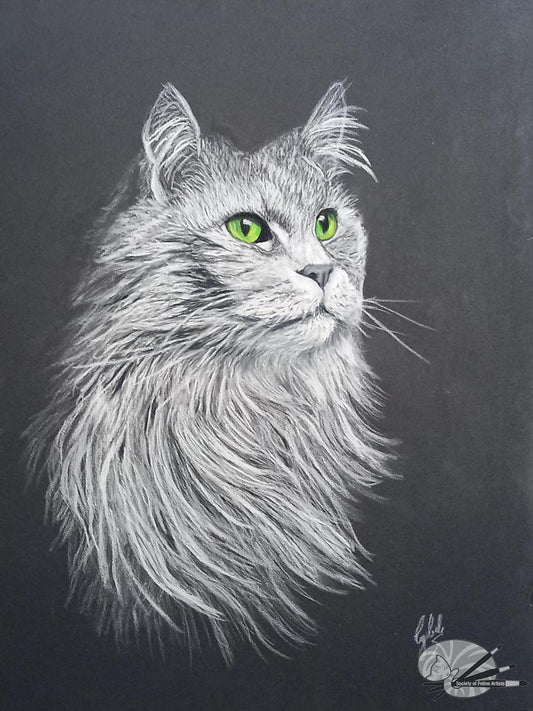 Green Eyed Cat