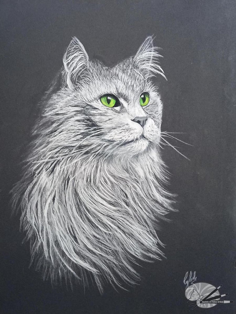 Green Eyed Cat