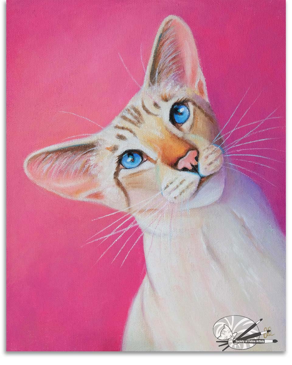 Painting of a siamese cat looking up with big blue eyes on a pink background