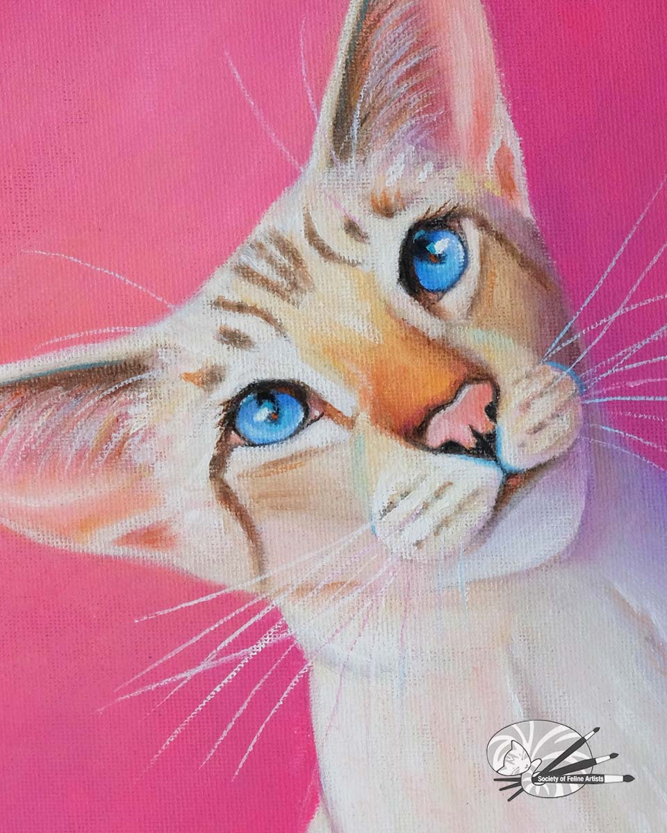 Close-up of an oil painting of a siamese  cat with blue eyes on a pink background showing the details of the paint and canvas.
