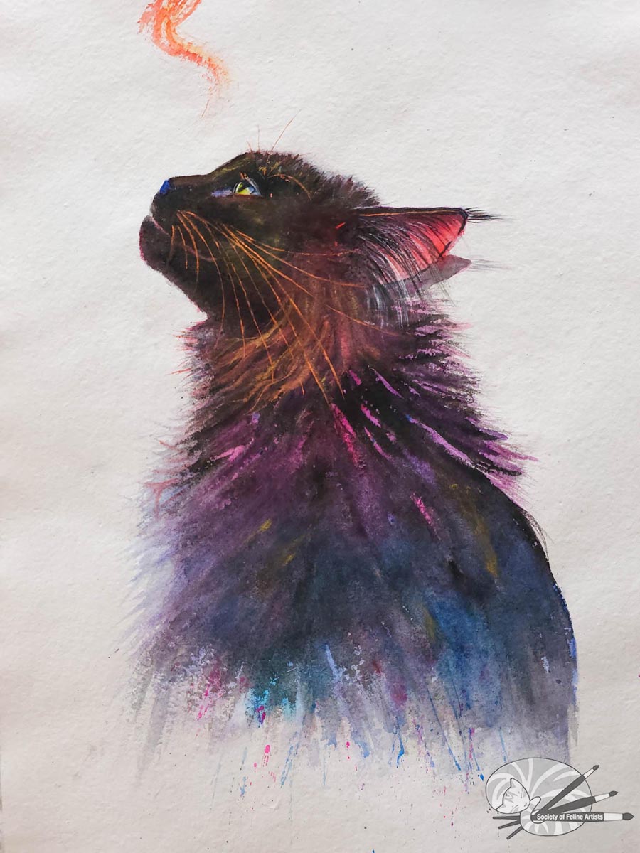 Flash - Black Cat Watercolour