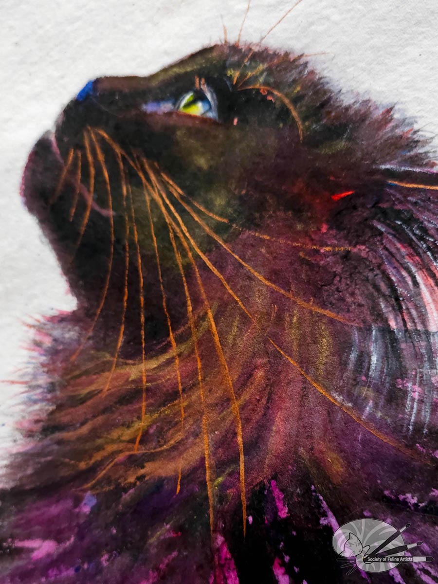 Flash - Black Cat Watercolour