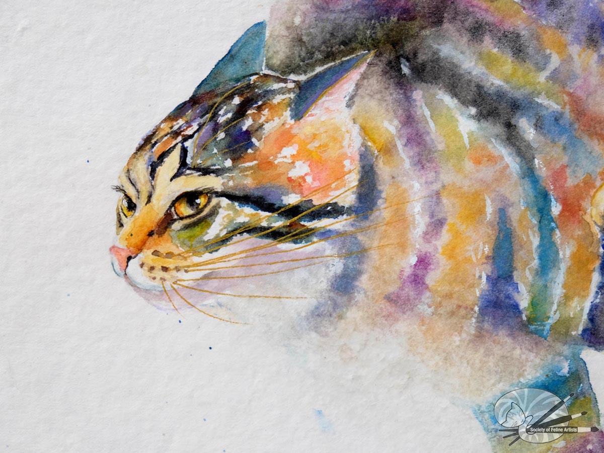 Splish Splash! Racing Cat