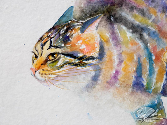 Splish Splash! Racing Cat