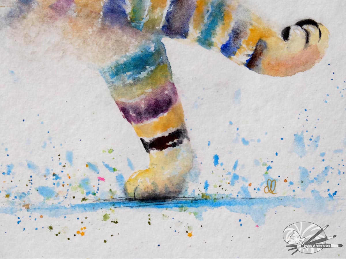 Splish Splash! Racing Cat