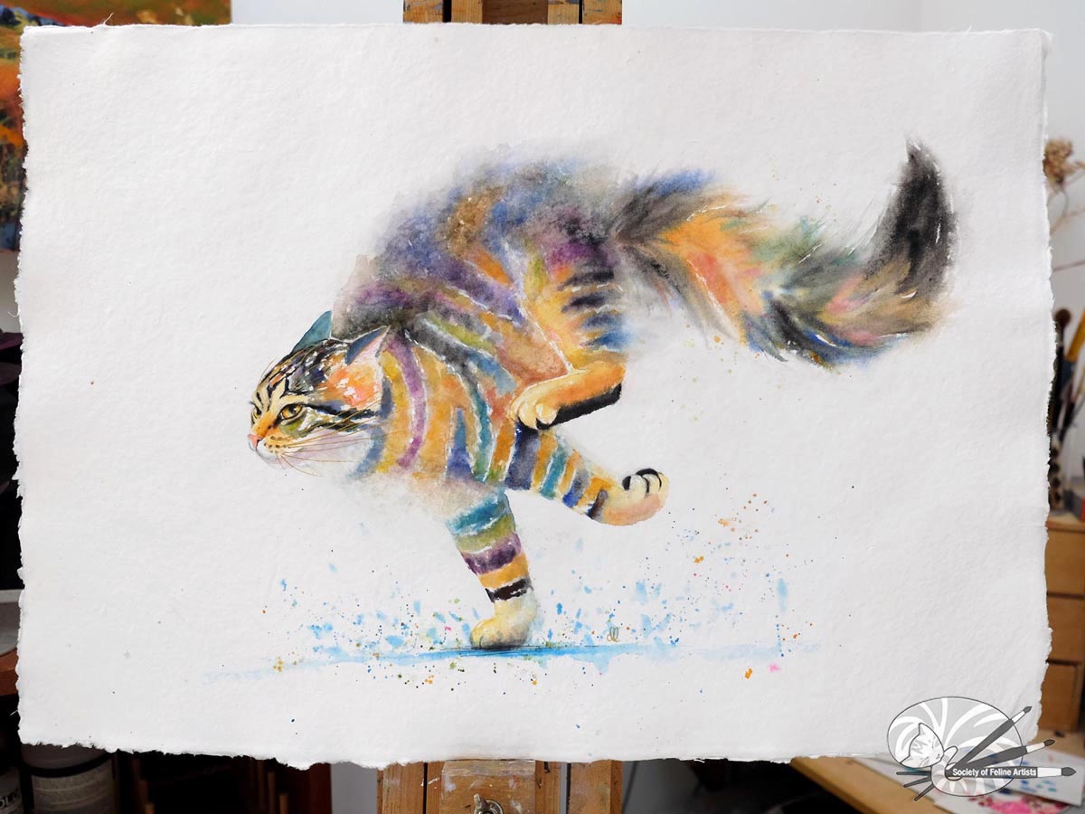 Splish Splash! Racing Cat