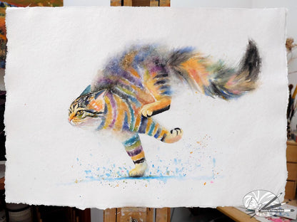 Splish Splash! Racing Cat