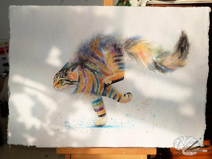 Splish Splash! Racing Cat