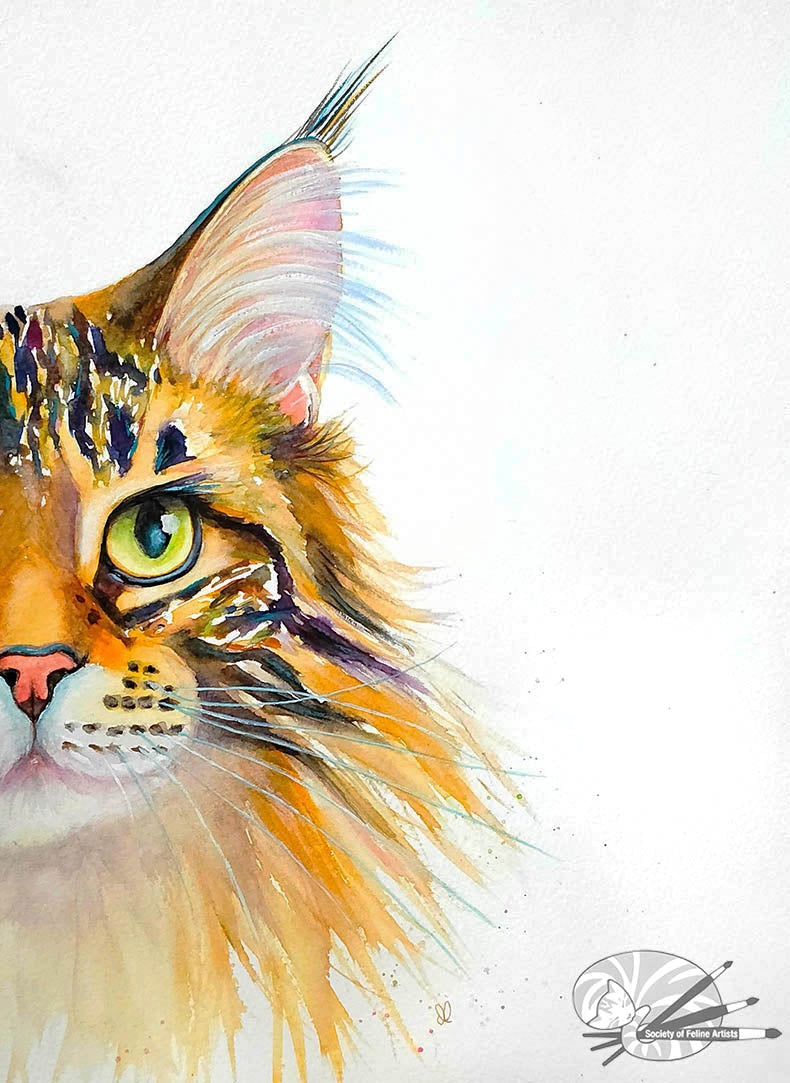 Golden Tabby