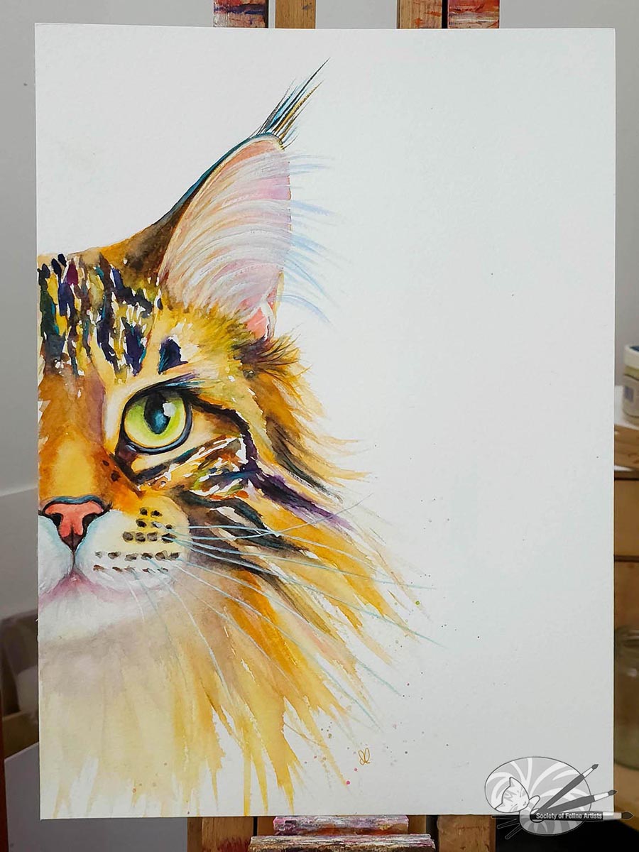 Golden Tabby