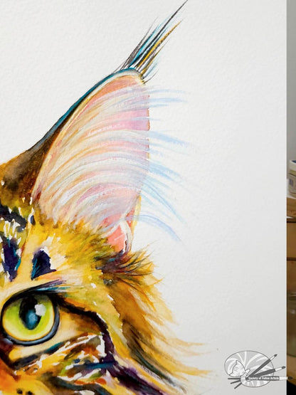 Golden Tabby