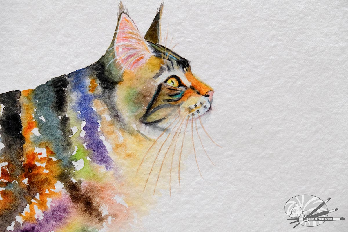Miss Stripes Takes A Stroll