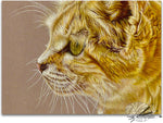 Load image into Gallery viewer, Sand Cat Portrait
