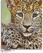 Load image into Gallery viewer, Play With Me
