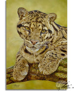 Load image into Gallery viewer, Clouded Leopard
