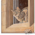 Load image into Gallery viewer, Cotswold Cat
