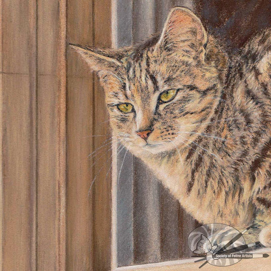 Cotswold Cat