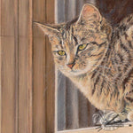 Load image into Gallery viewer, Cotswold Cat
